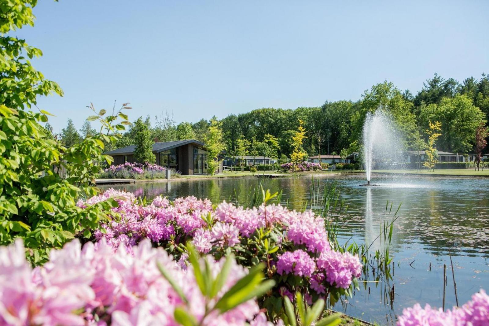 Vakantiepark Molenvelden Велдговен Екстер'єр фото